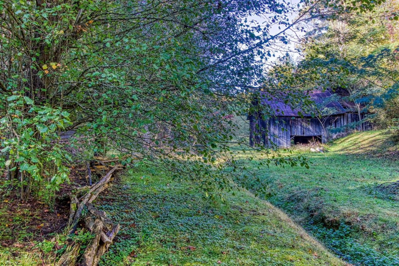 Cozy Creek Cabin بيدجن فورج المظهر الخارجي الصورة