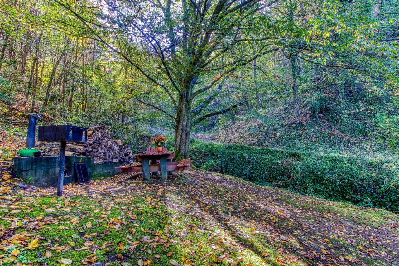 Cozy Creek Cabin بيدجن فورج المظهر الخارجي الصورة