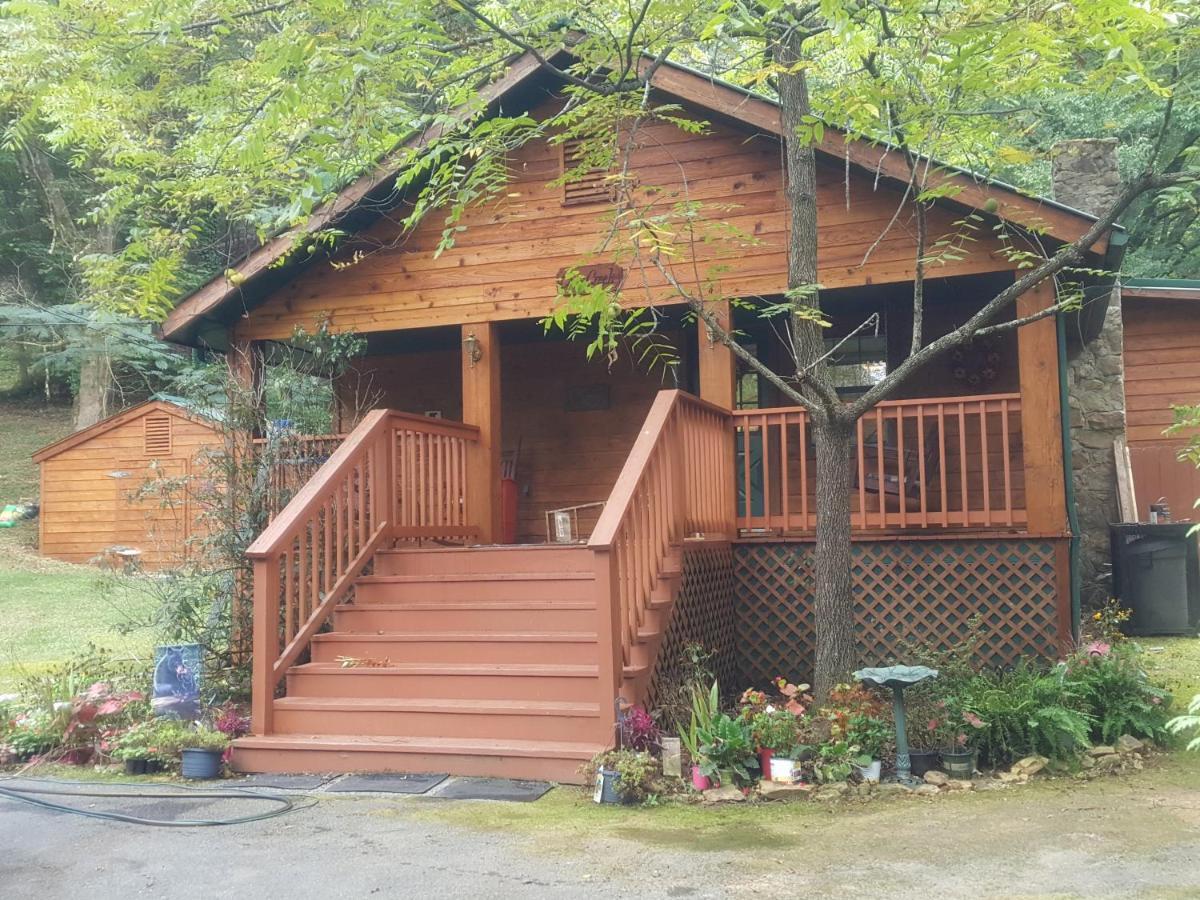 Cozy Creek Cabin بيدجن فورج المظهر الخارجي الصورة