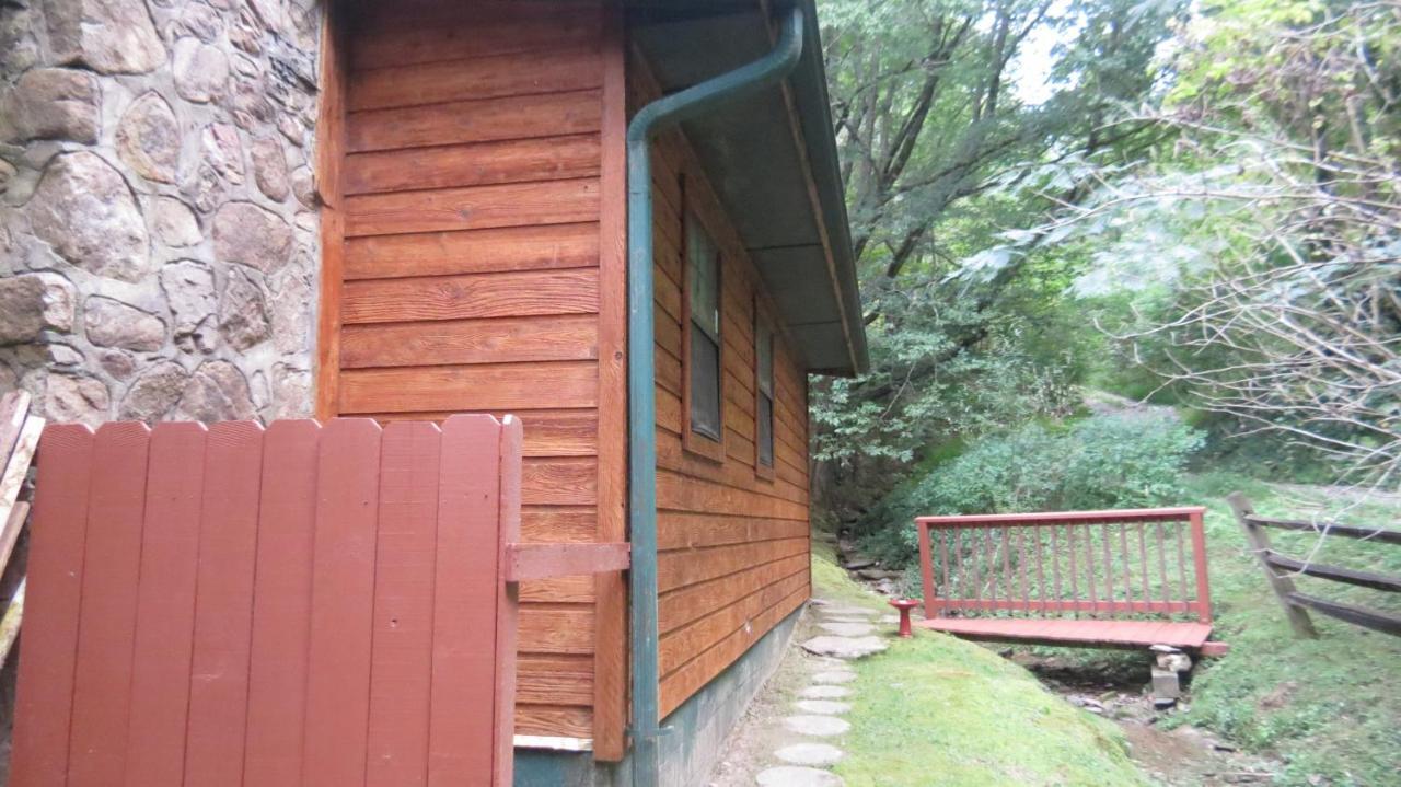 Cozy Creek Cabin بيدجن فورج المظهر الخارجي الصورة